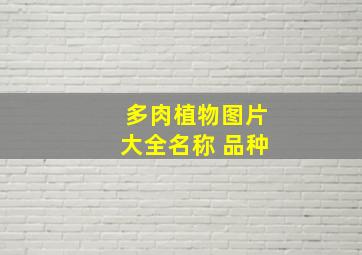 多肉植物图片大全名称 品种